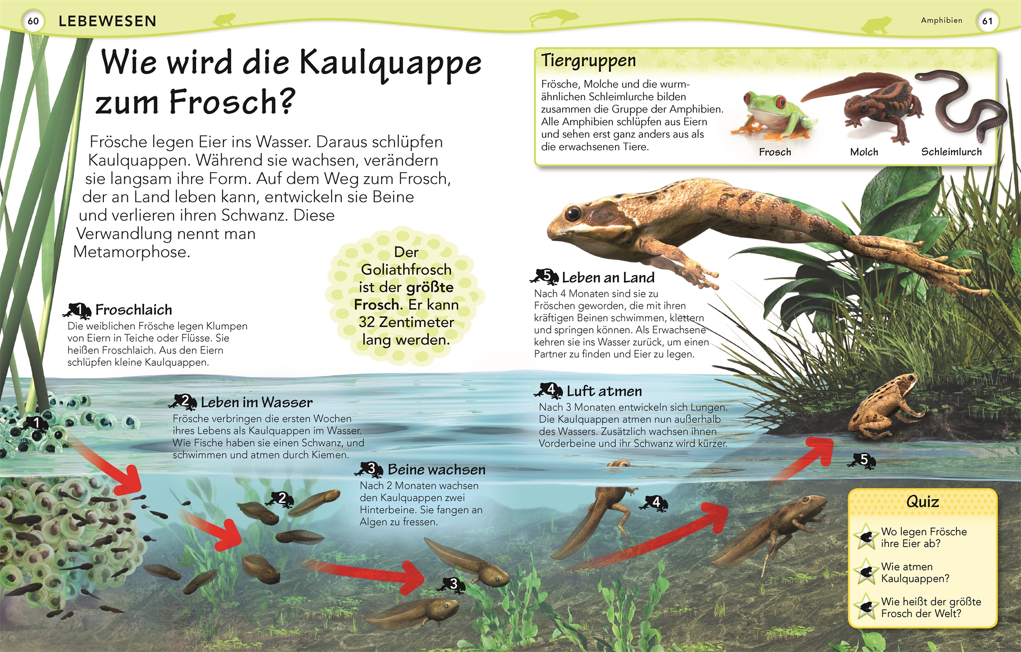 9783831028092_innenansicht_02.jpg 9783831028092_innenansicht_02.jpg