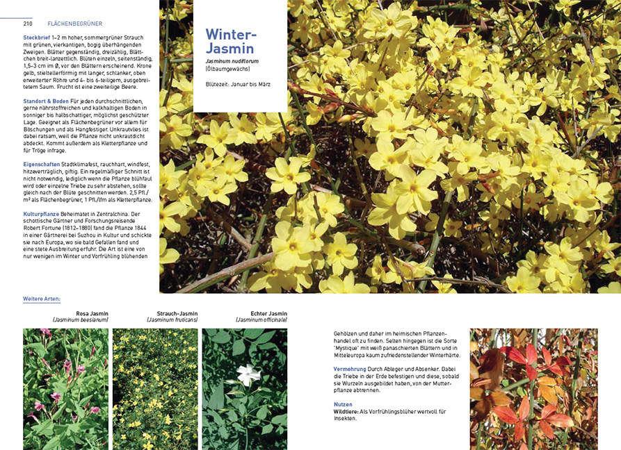 9783258083513_innenansicht_04 9783258083513_innenansicht_04.jpg