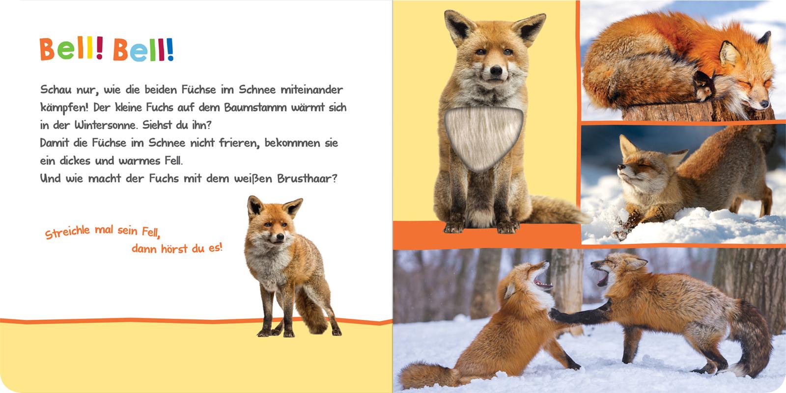 9783845844961_innenansicht_01.jpg