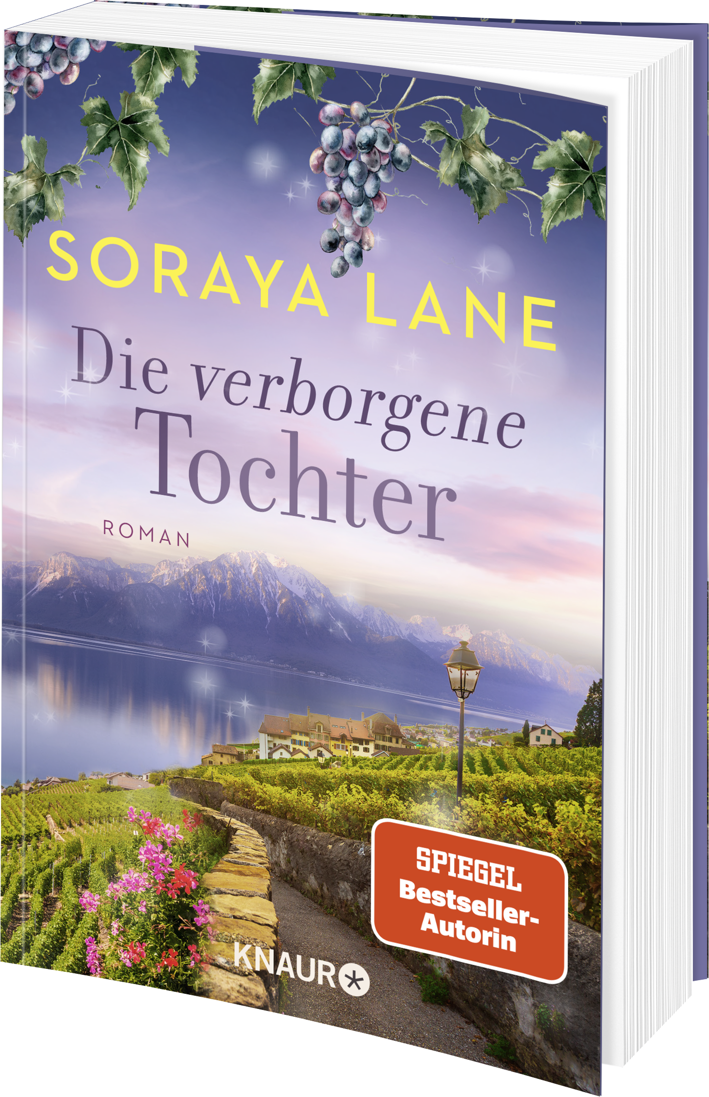 9783426530269_weiterecover_01 9783426530269_weiterecover_01.png