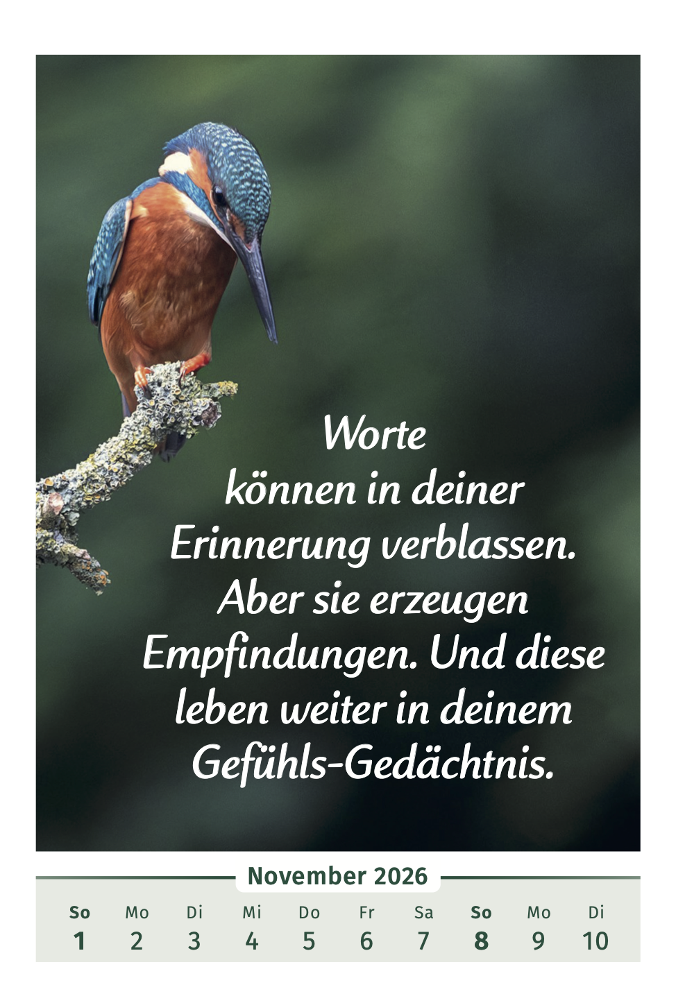9783910294455_innenansicht_07.png