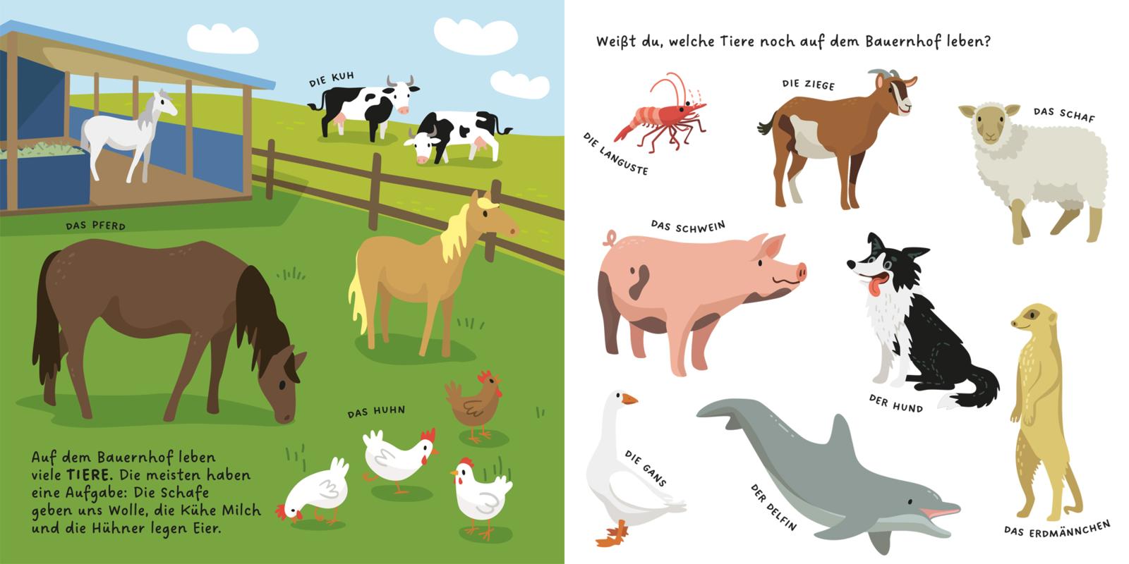 9783551256003_innenansicht_05 9783551256003_innenansicht_05.jpg