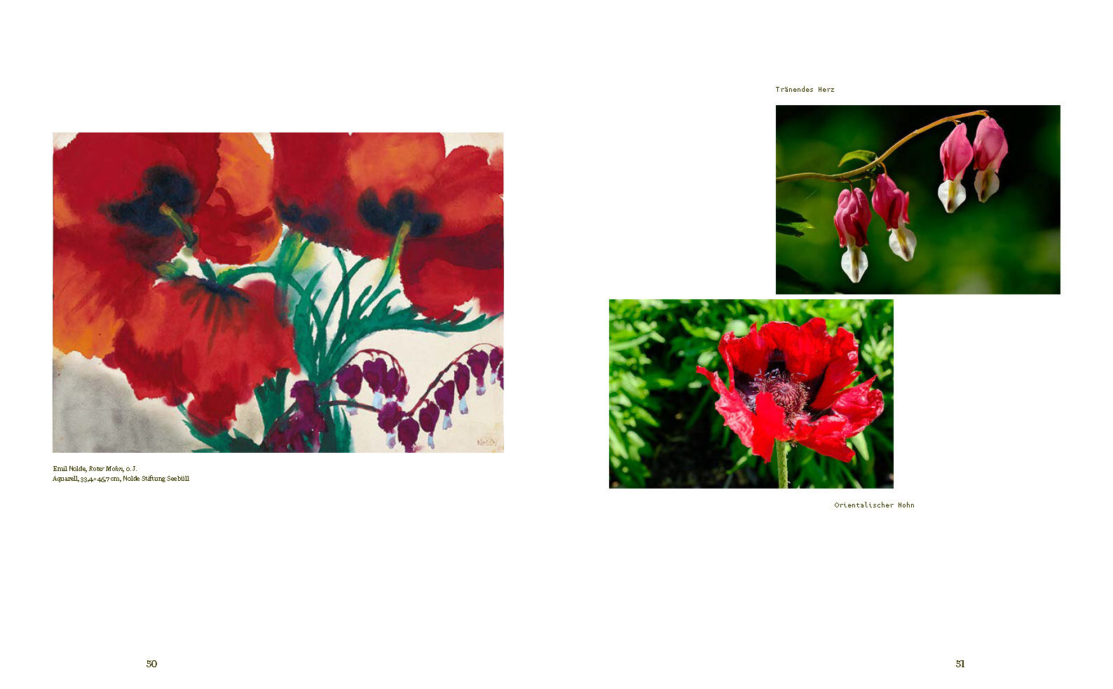 9783791377773_innenansicht_05 9783791377773_innenansicht_05.jpg