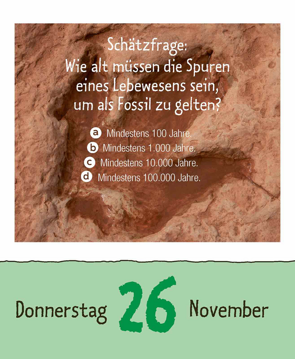 9783731887041_innenansicht_15.jpg