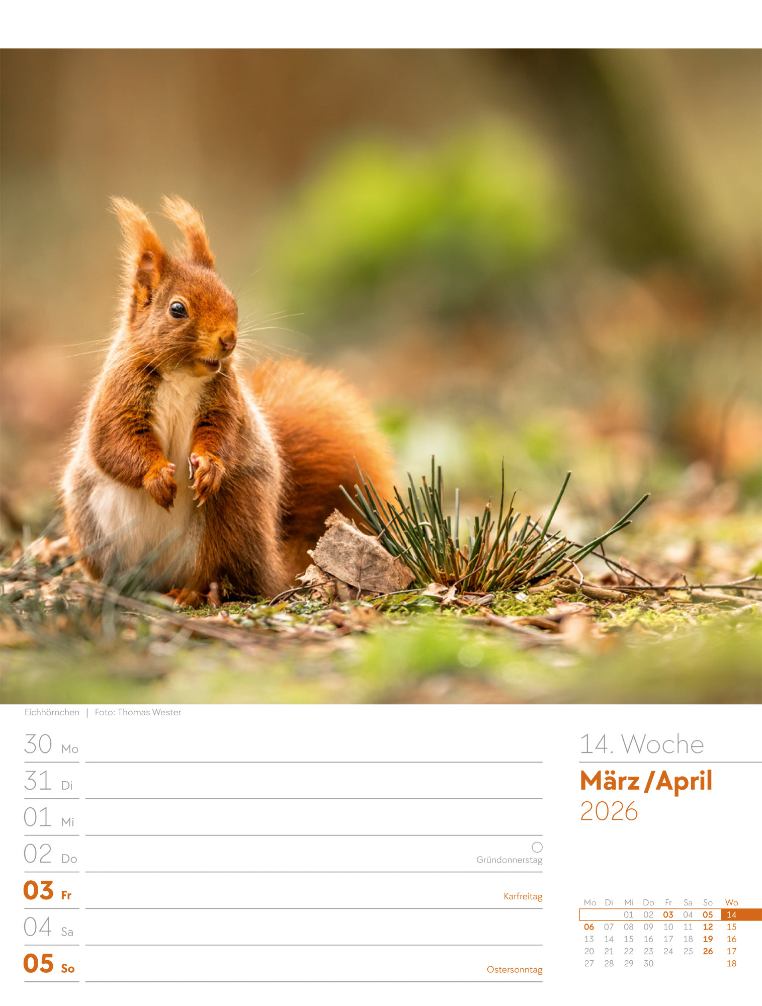 9783838426976_innenansicht_17 9783838426976_innenansicht_17.jpg