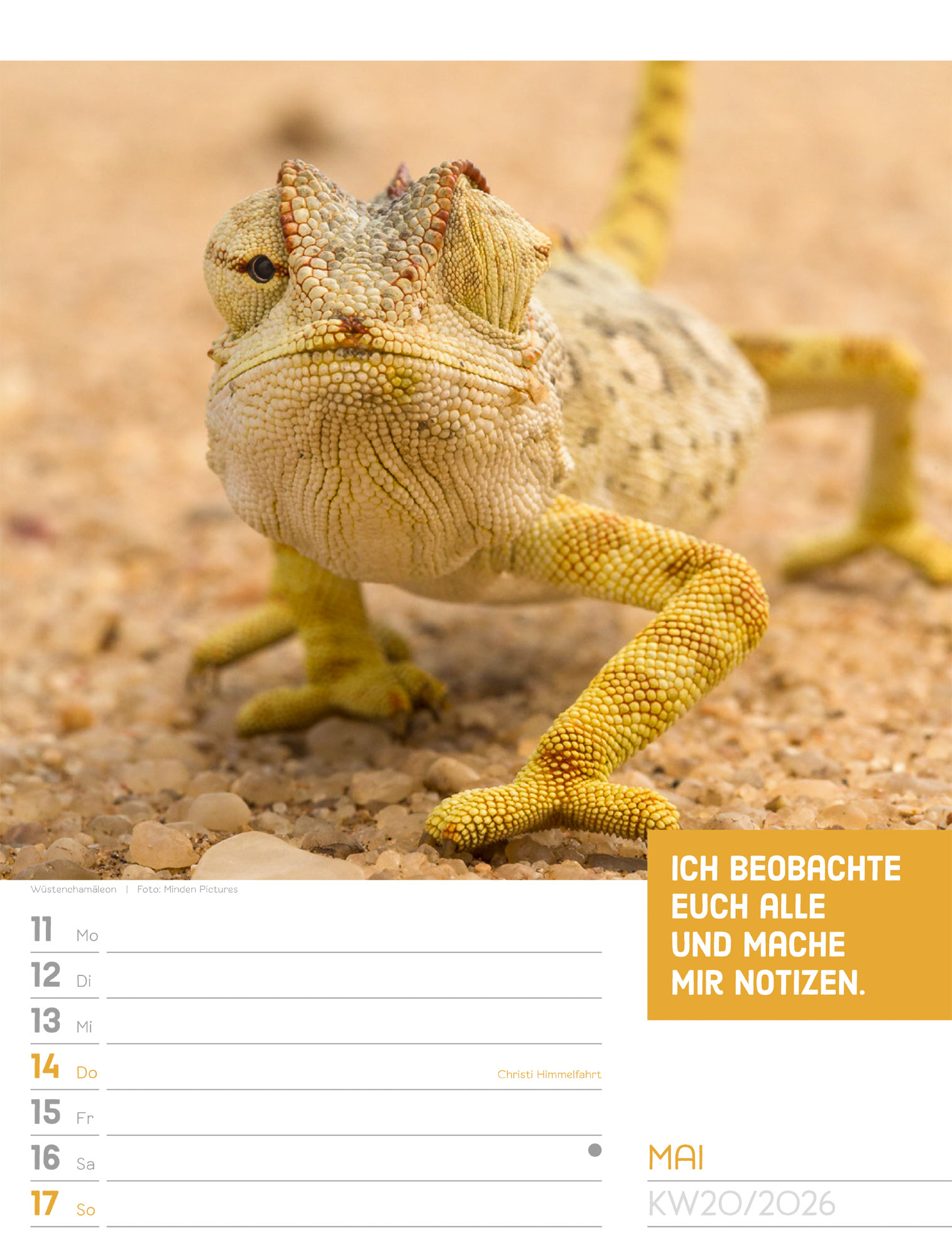 9783838426969_innenansicht_23.jpg