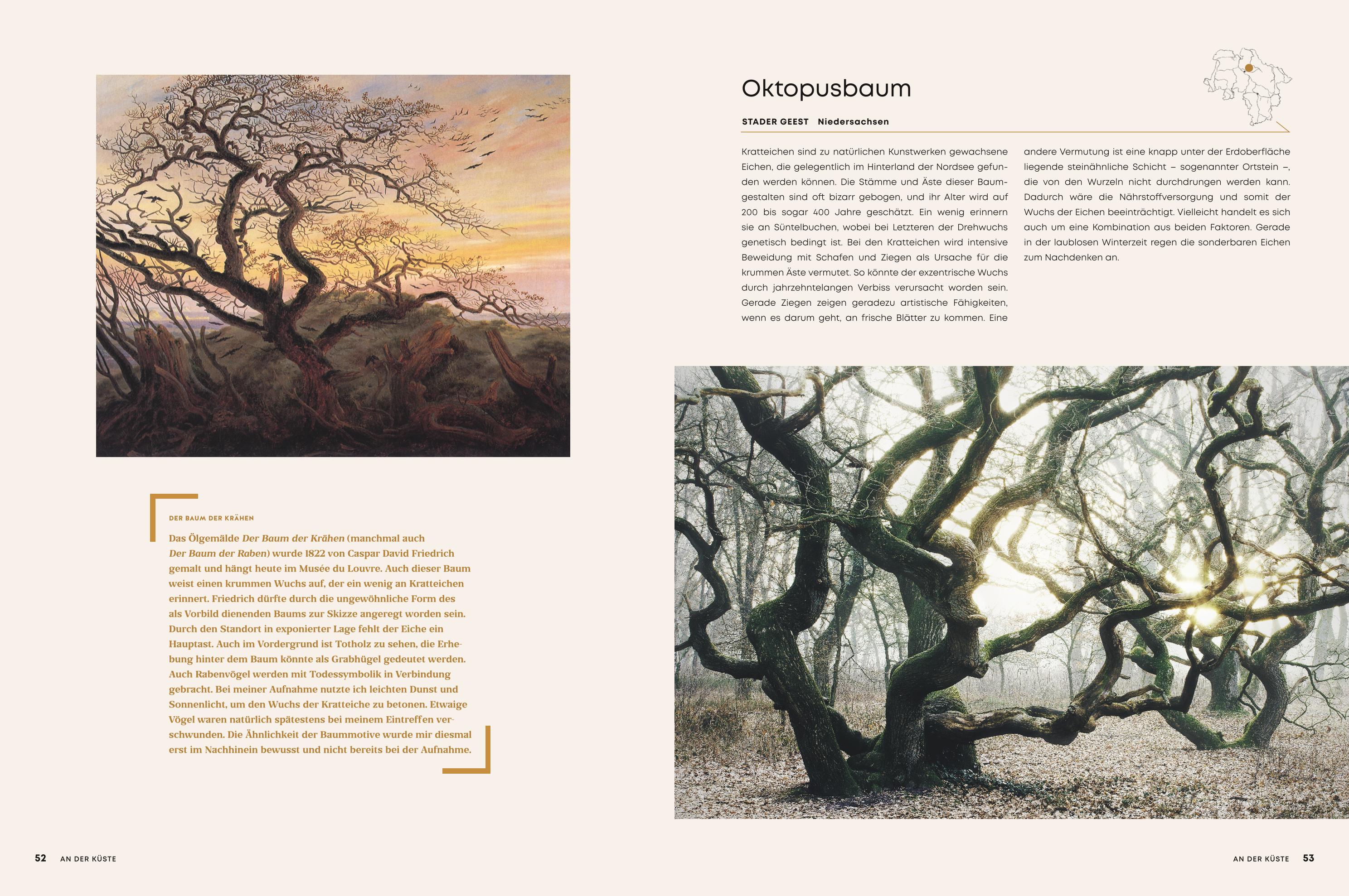 9783834233998_innenansicht_07 9783834233998_innenansicht_07.jpg