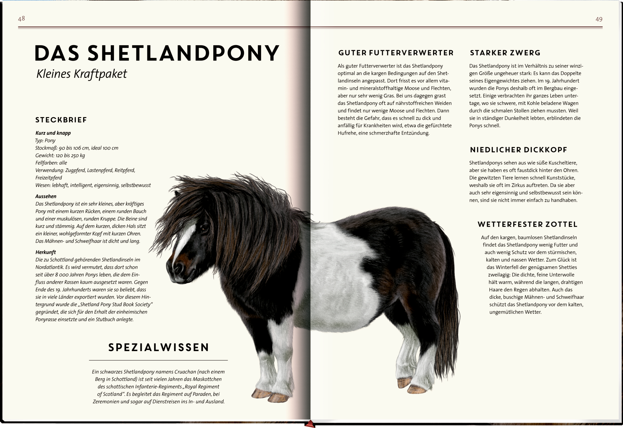 9783649646495_innenansicht_15 9783649646495_innenansicht_15.jpg