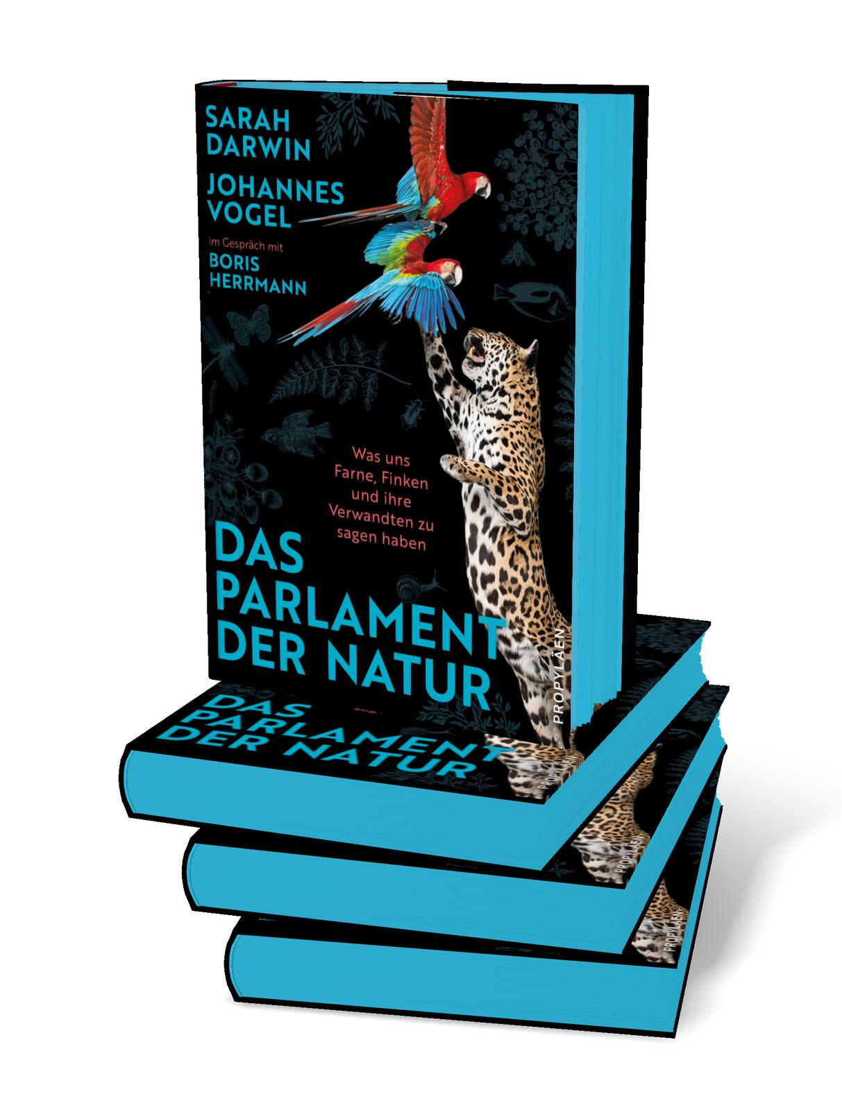 9783549100899_innenansicht_01.jpg