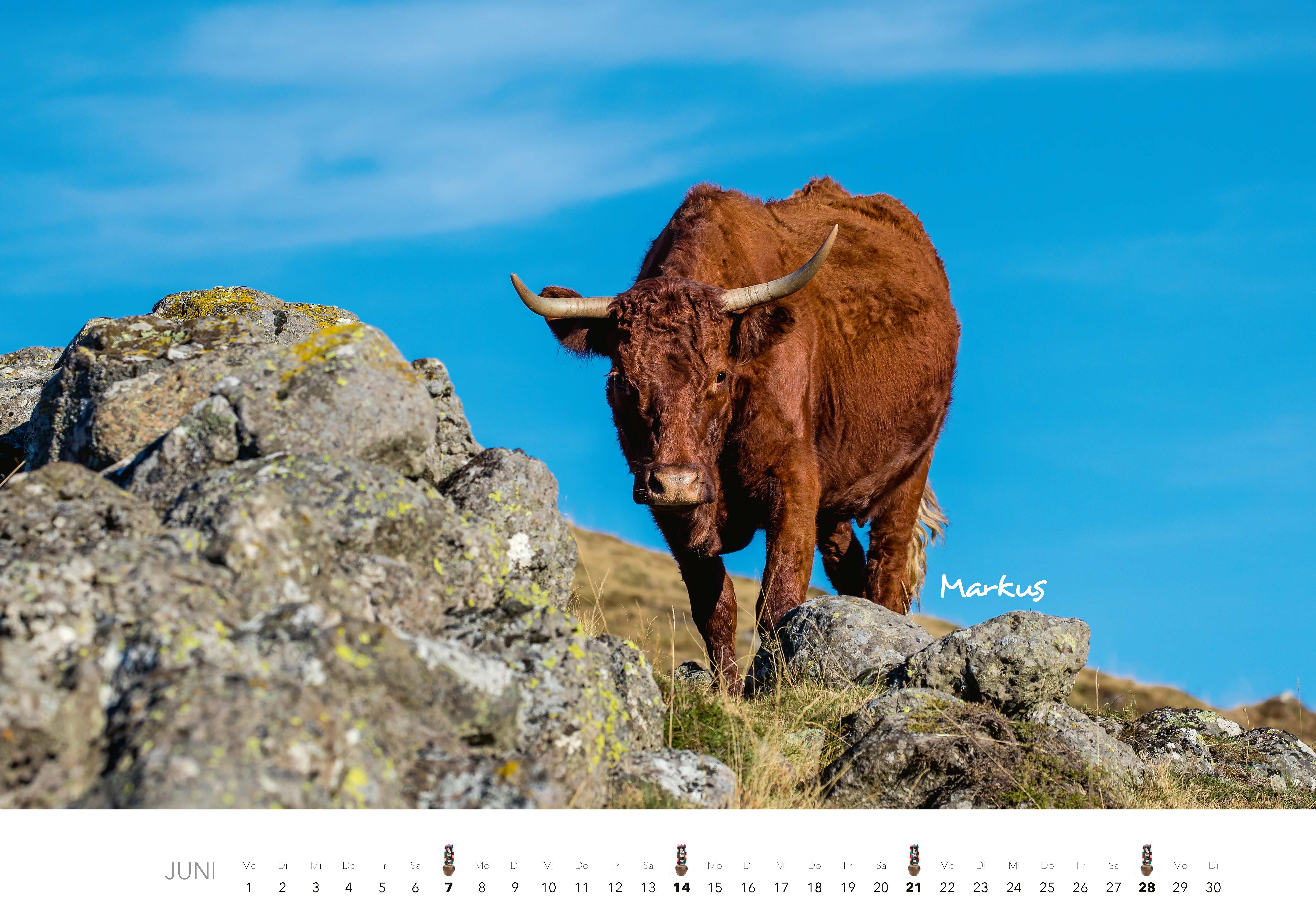 9783966649582_innenansicht_06 9783966649582_innenansicht_06.jpg