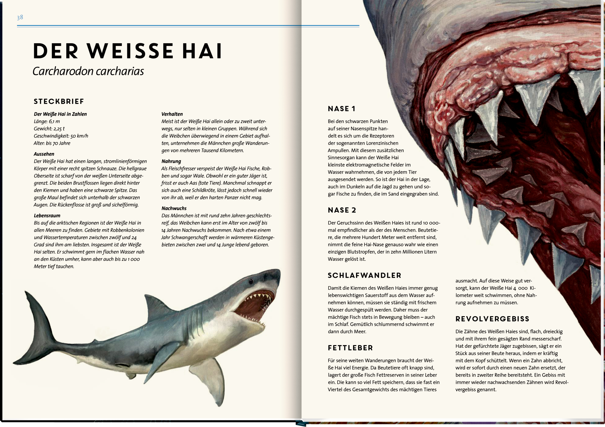 9783649640936_innenansicht_05 9783649640936_innenansicht_05.jpg