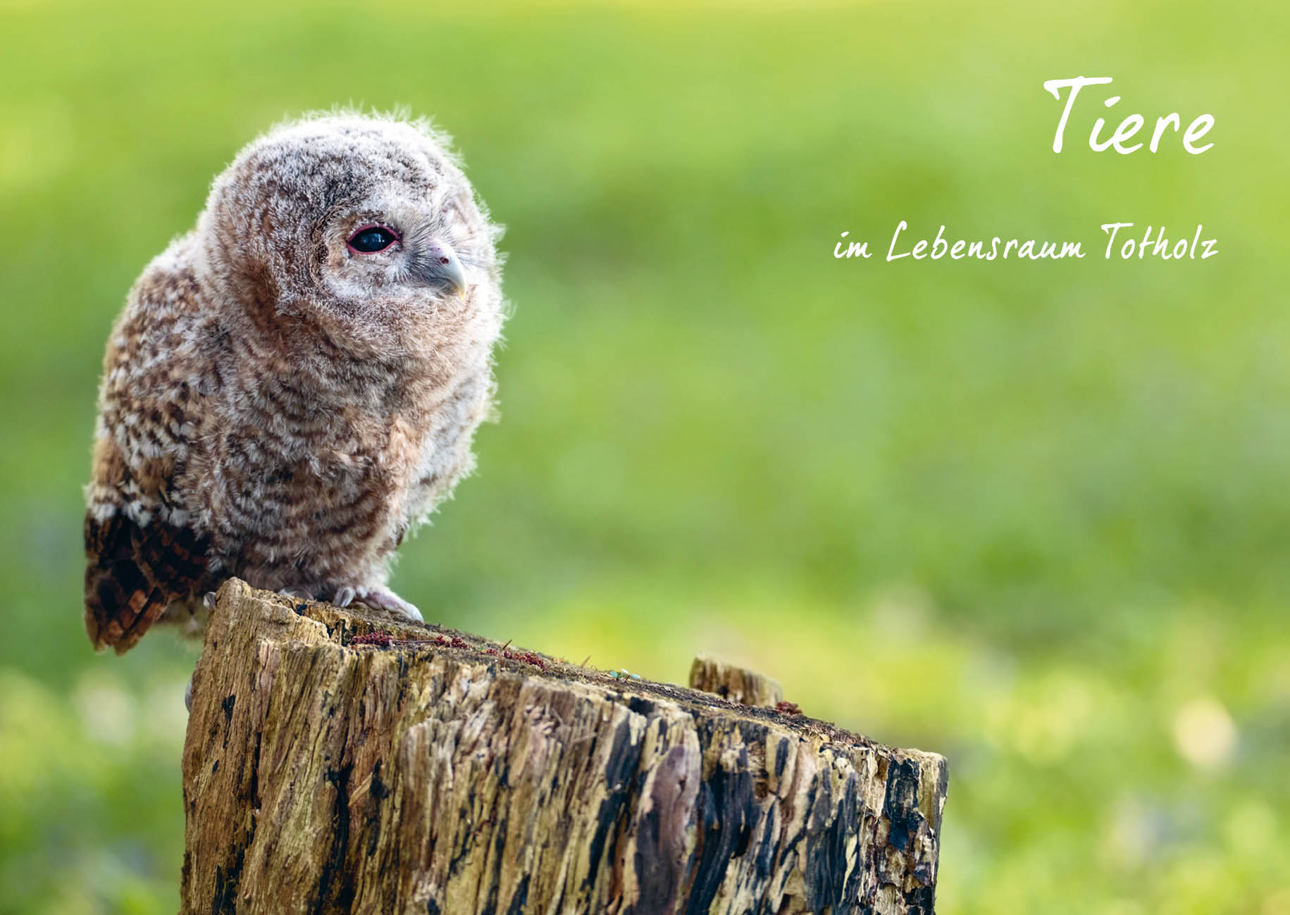 9783895664014_innenansicht_05.jpg 9783895664014_innenansicht_05.jpg