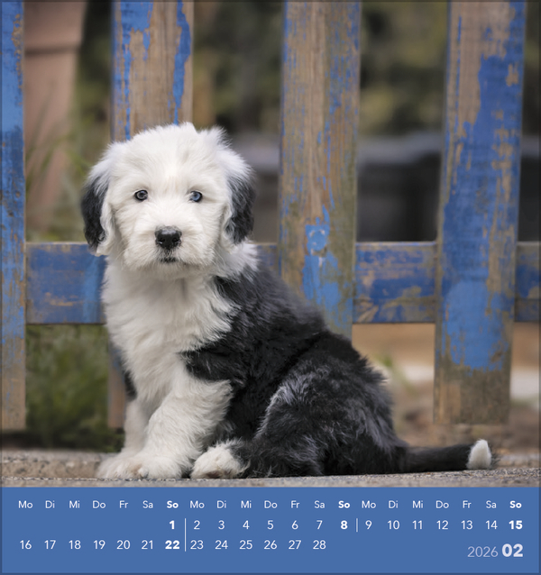 9783731884064_innenansicht_02 9783731884064_innenansicht_02.jpg