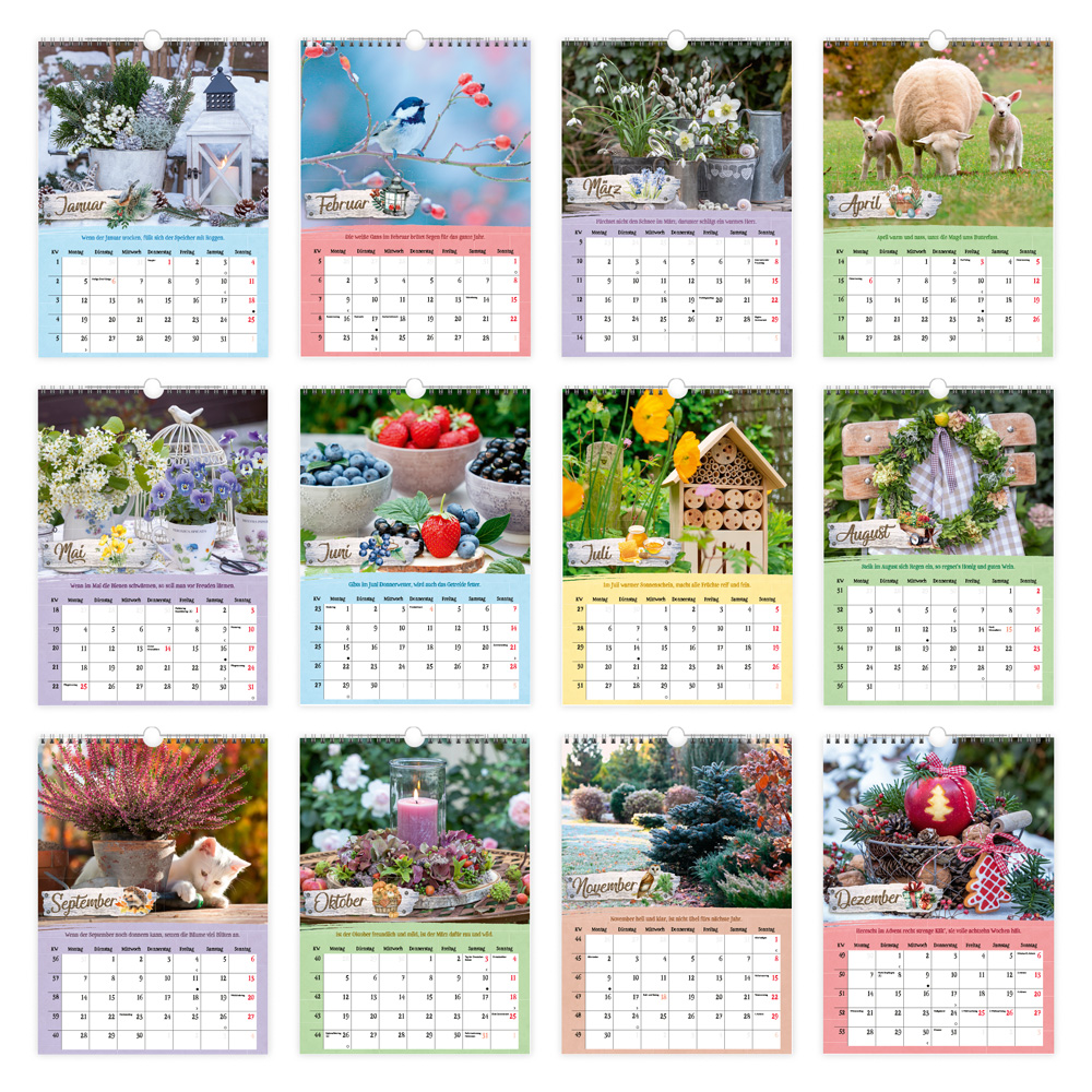 9783988024008_innenansicht_05 9783988024008_innenansicht_05.jpg