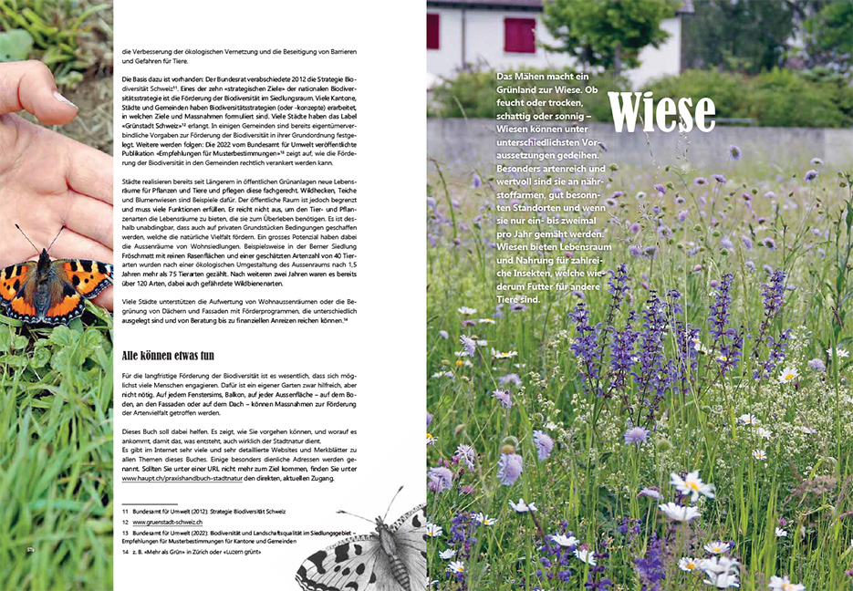 9783258083285_innenansicht_01 9783258083285_innenansicht_01.jpg