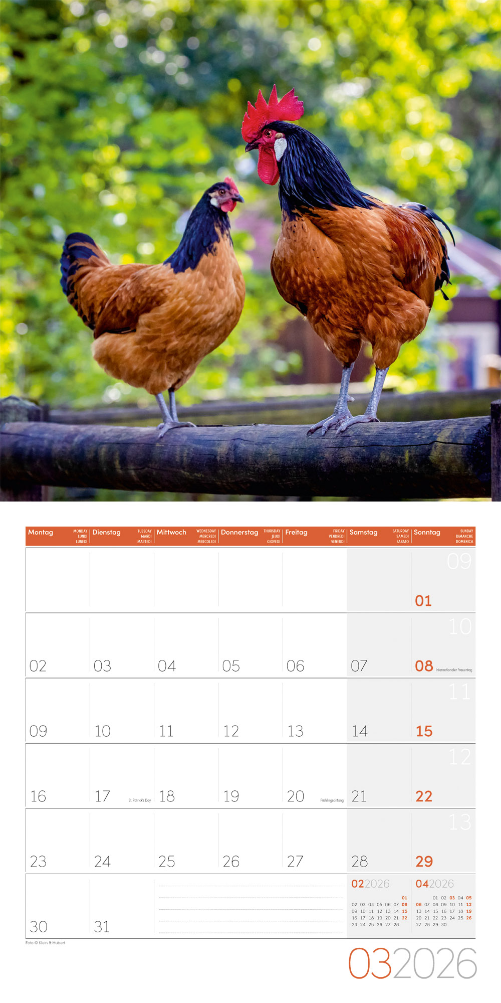 9783838446165_innenansicht_03 9783838446165_innenansicht_03.jpg