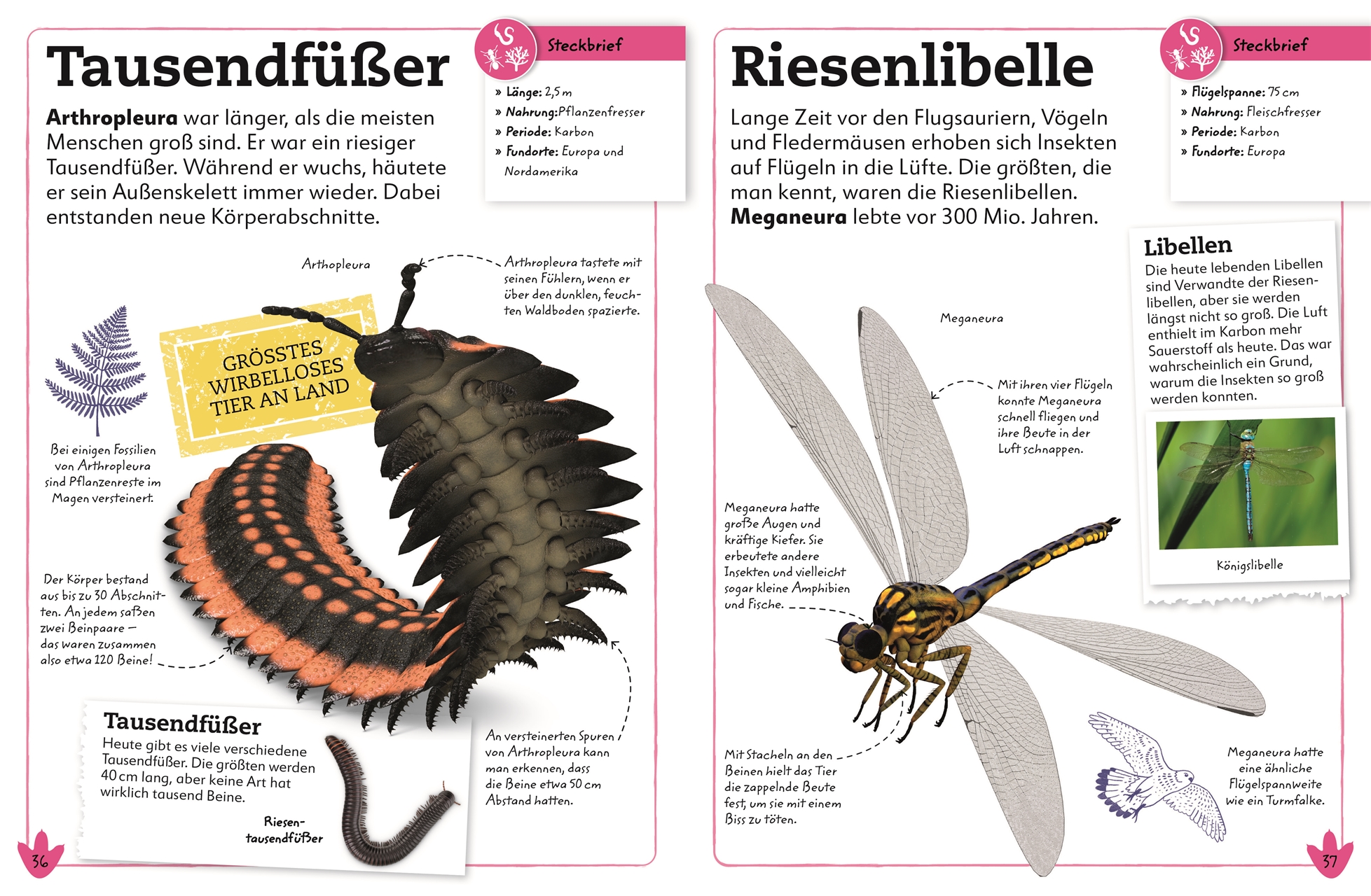 9783831042142_innenansicht_03 9783831042142_innenansicht_03.jpg