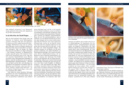 9783866594197_innenansicht_01.jpg 9783866594197_innenansicht_01.jpg