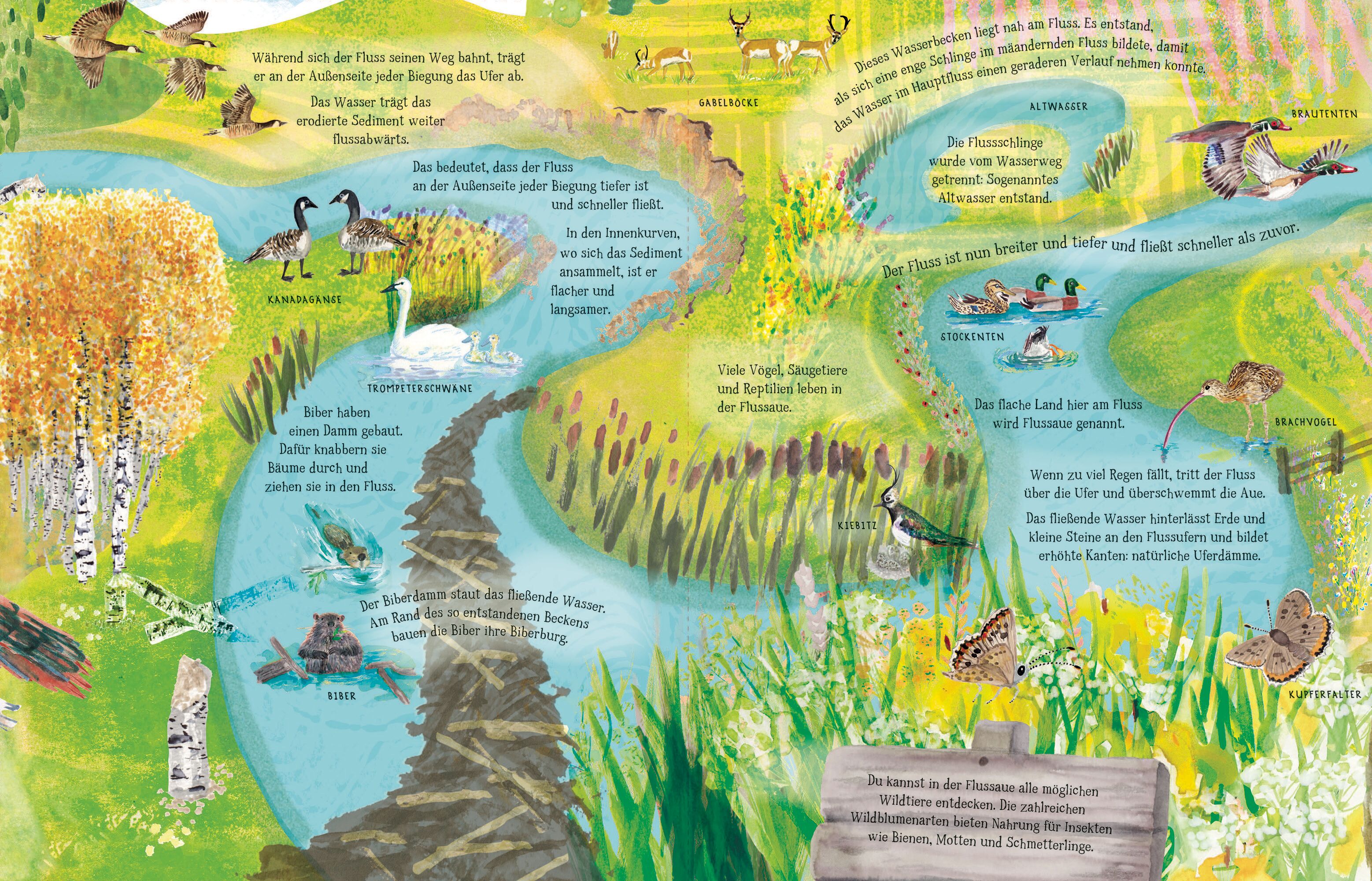 9783791375762_innenansicht_12 9783791375762_innenansicht_12.jpg