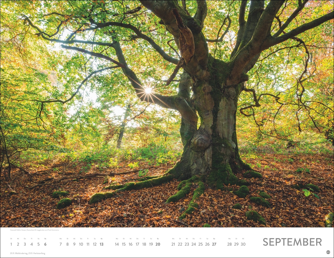 9783756413959_innenansicht_09 9783756413959_innenansicht_09.jpg