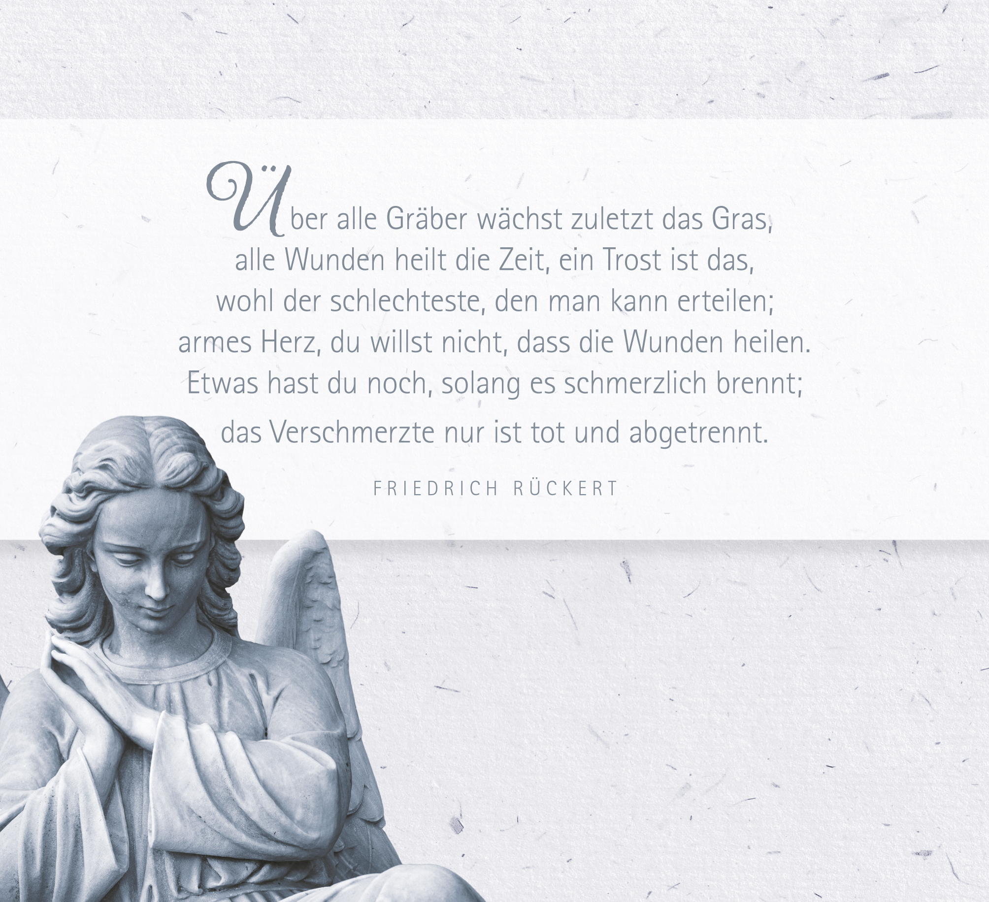 9783629009494_innenansicht_04.jpg