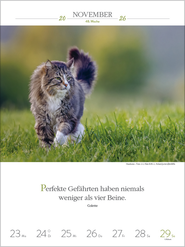 9783731884354_innenansicht_10.jpg