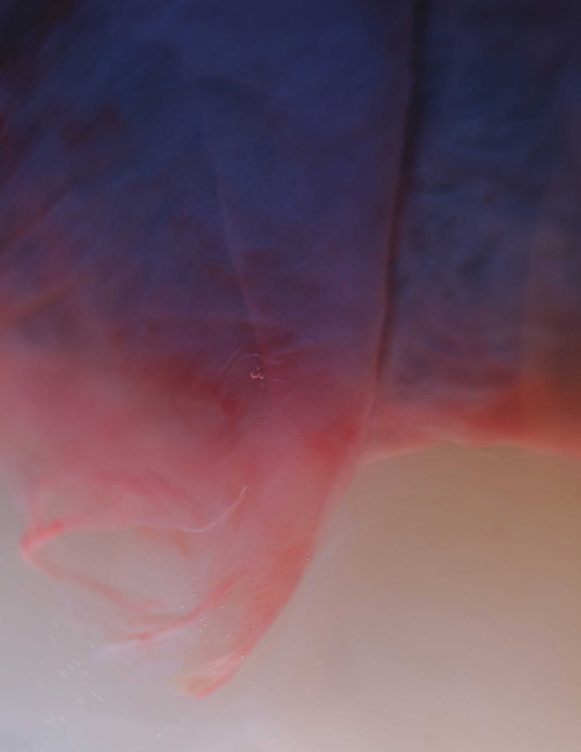 9783969140123_innenansicht_01 9783969140123_innenansicht_01.jpg