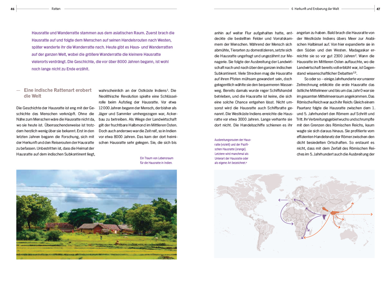 9783258083155_innenansicht_03 9783258083155_innenansicht_03.jpg