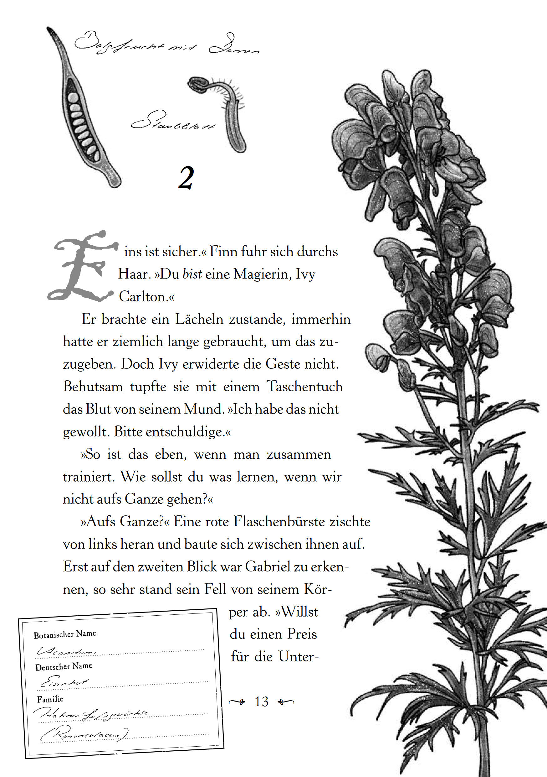 9783833910623_innenansicht_03.jpg