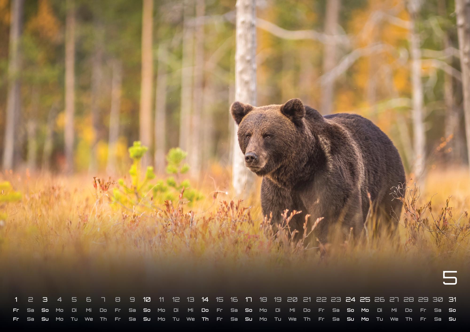 9783986736040_innenansicht_05 9783986736040_innenansicht_05.jpg