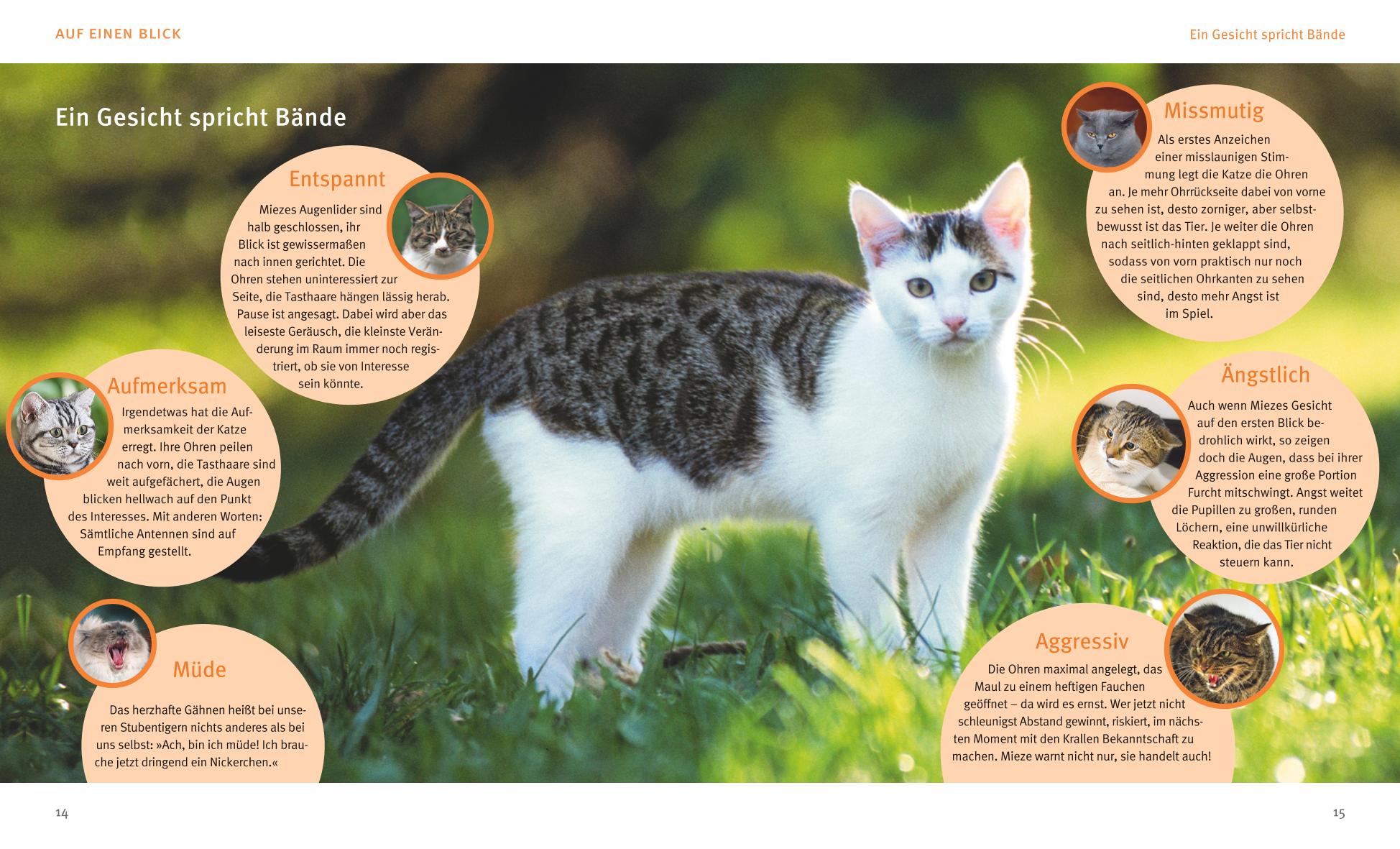 9783833836350_innenansicht_03 9783833836350_innenansicht_03.jpg