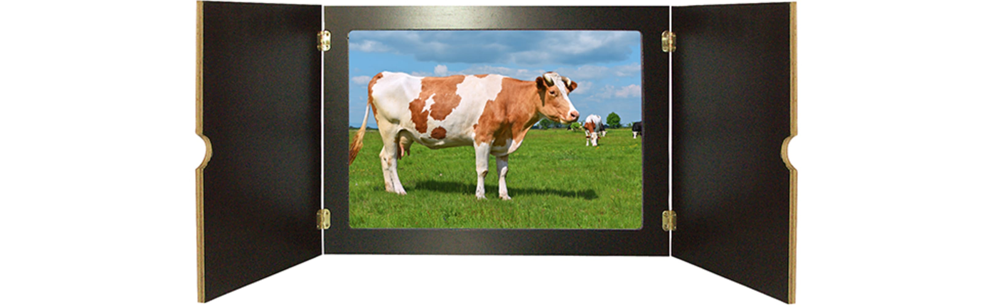 4260179517266_innenansicht_04 4260179517266_innenansicht_04.jpg