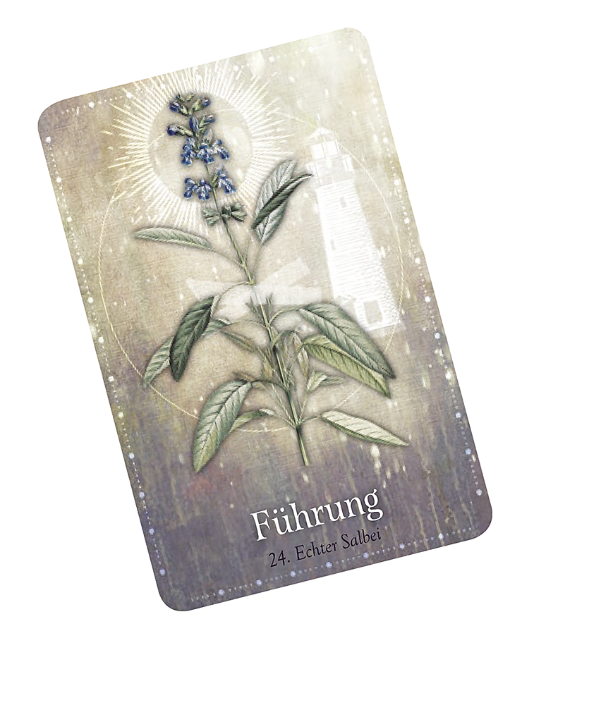 9783426659274_innenansicht_07 9783426659274_innenansicht_07.jpg