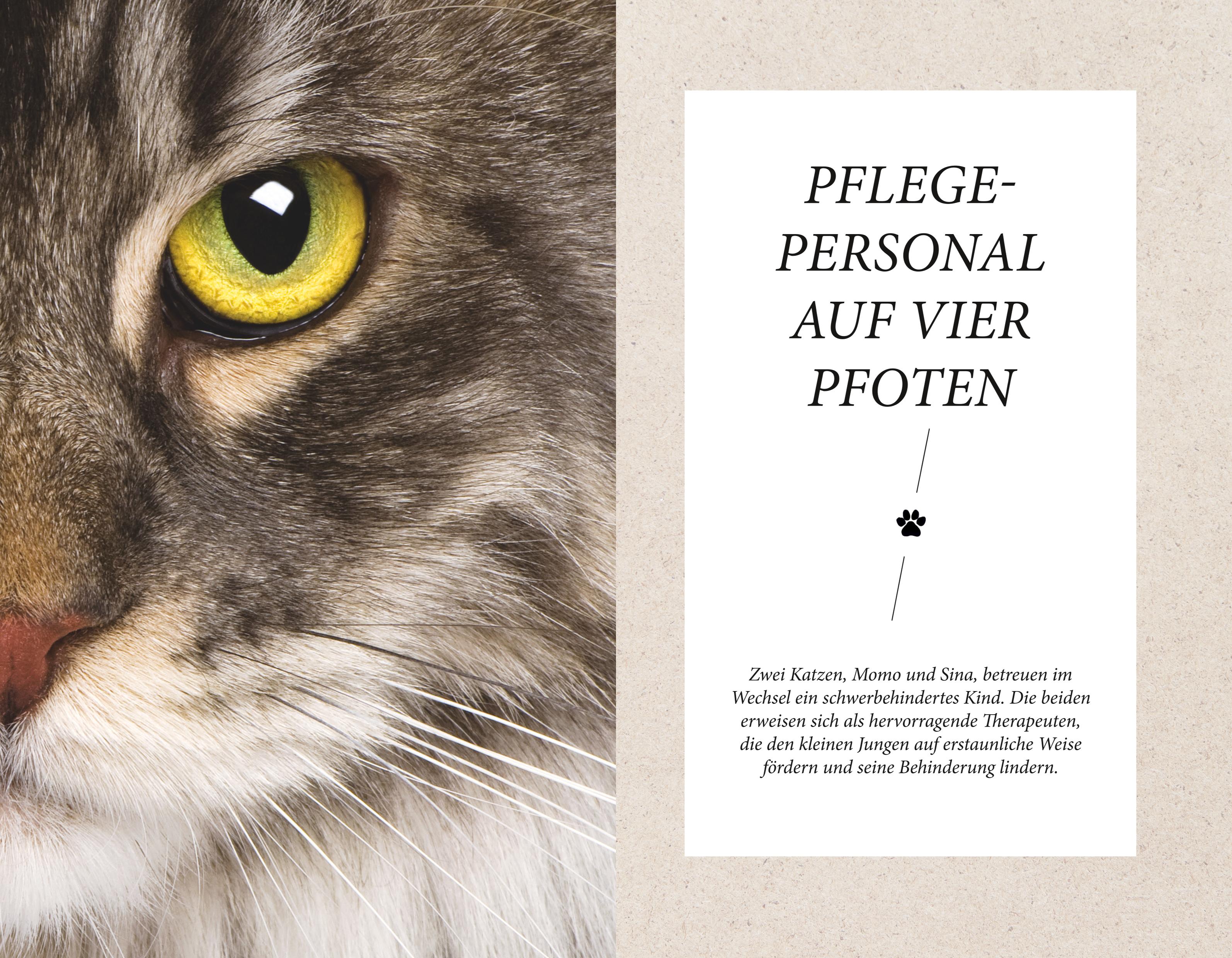 9783833871252_innenansicht_02 9783833871252_innenansicht_02.jpg