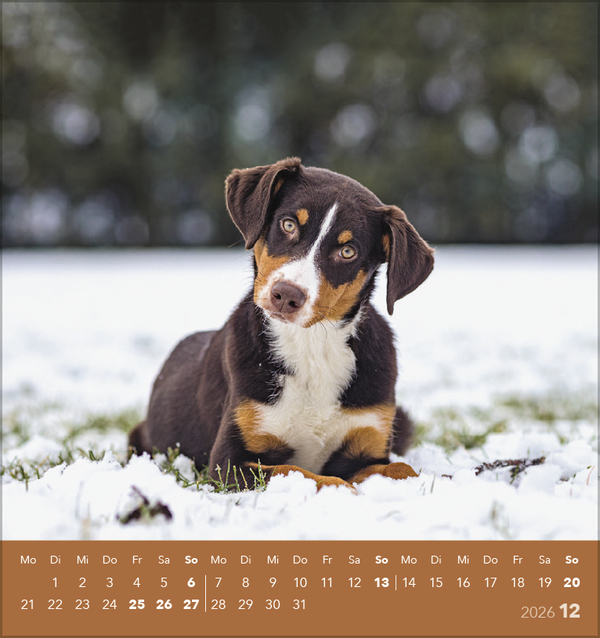 9783731884064_innenansicht_12 9783731884064_innenansicht_12.jpg