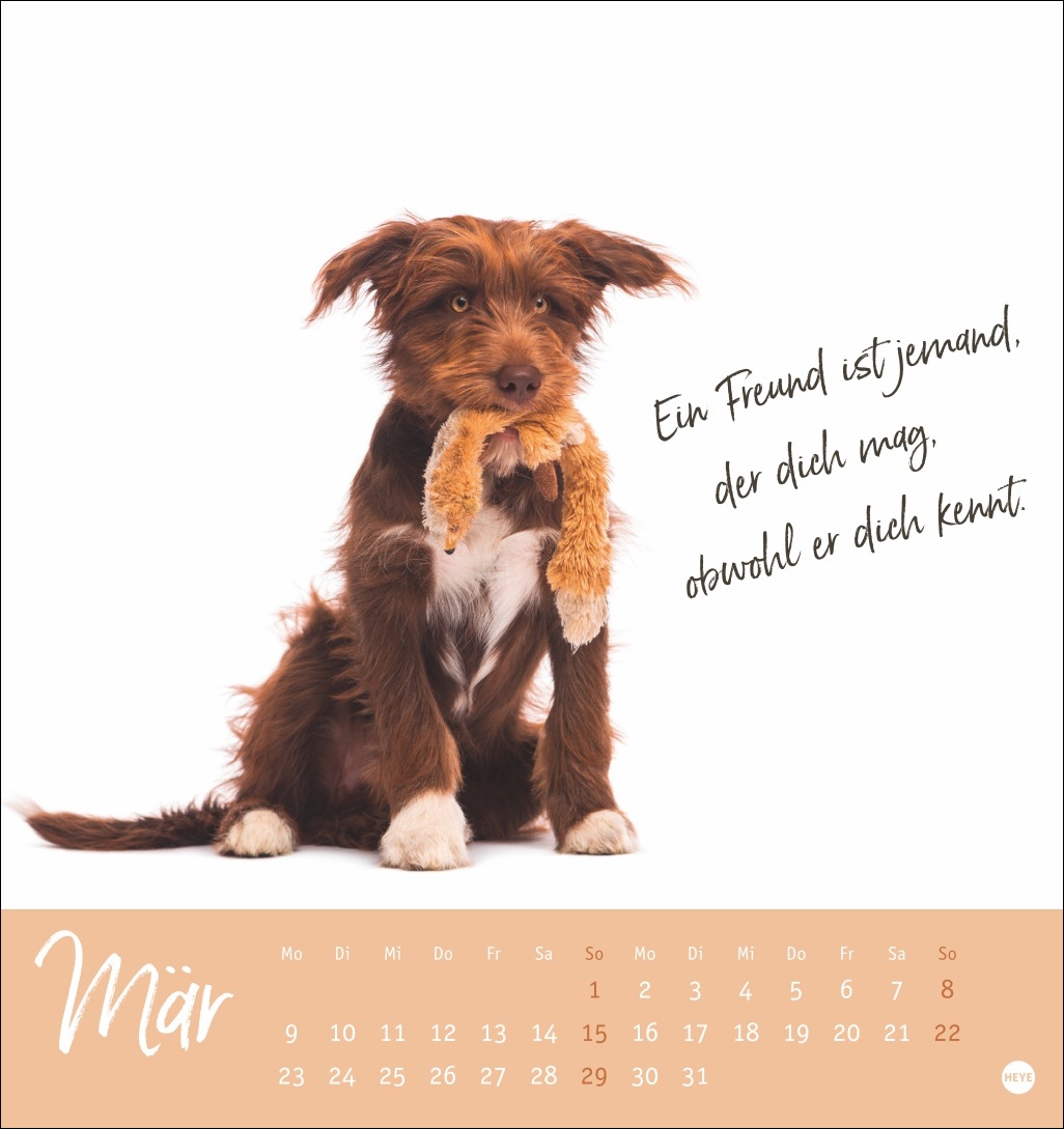 9783756411566_innenansicht_03.jpg