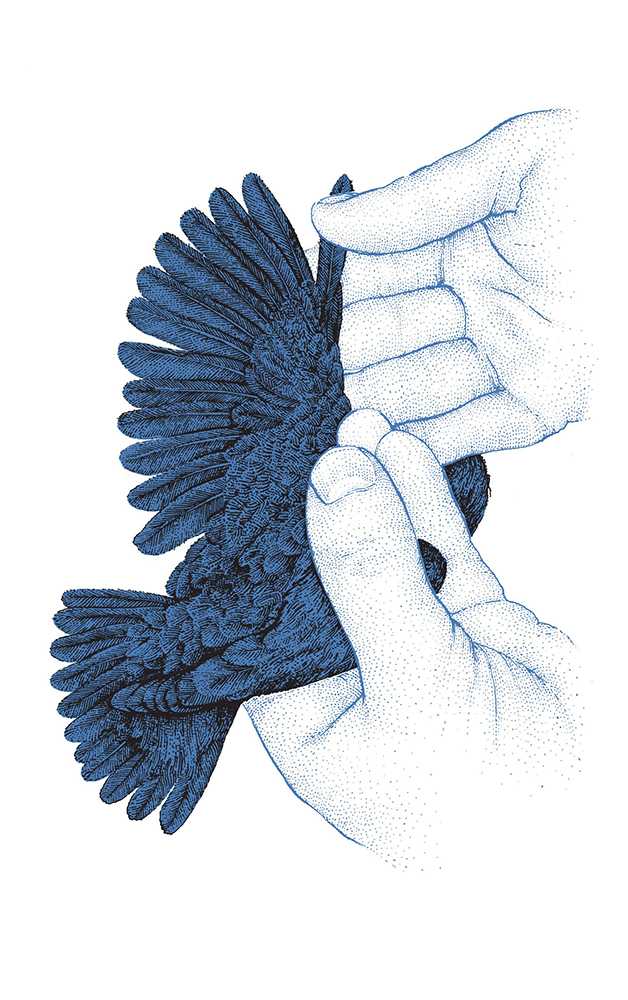 9783458642886_innenansicht_05.jpg 9783458642886_innenansicht_05.jpg