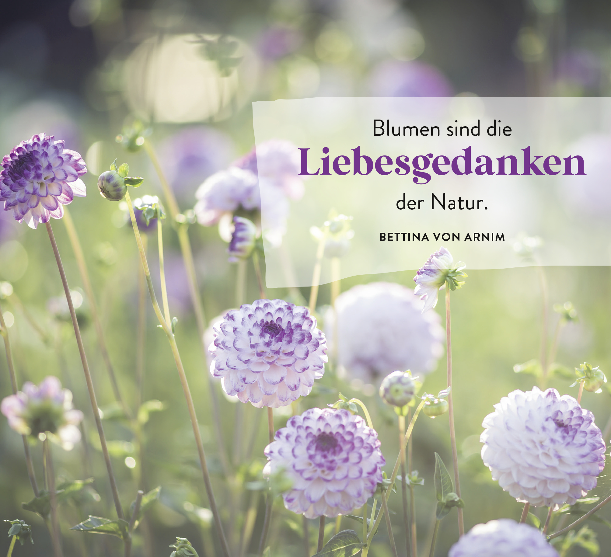 9783848501991_innenansicht_05.jpg