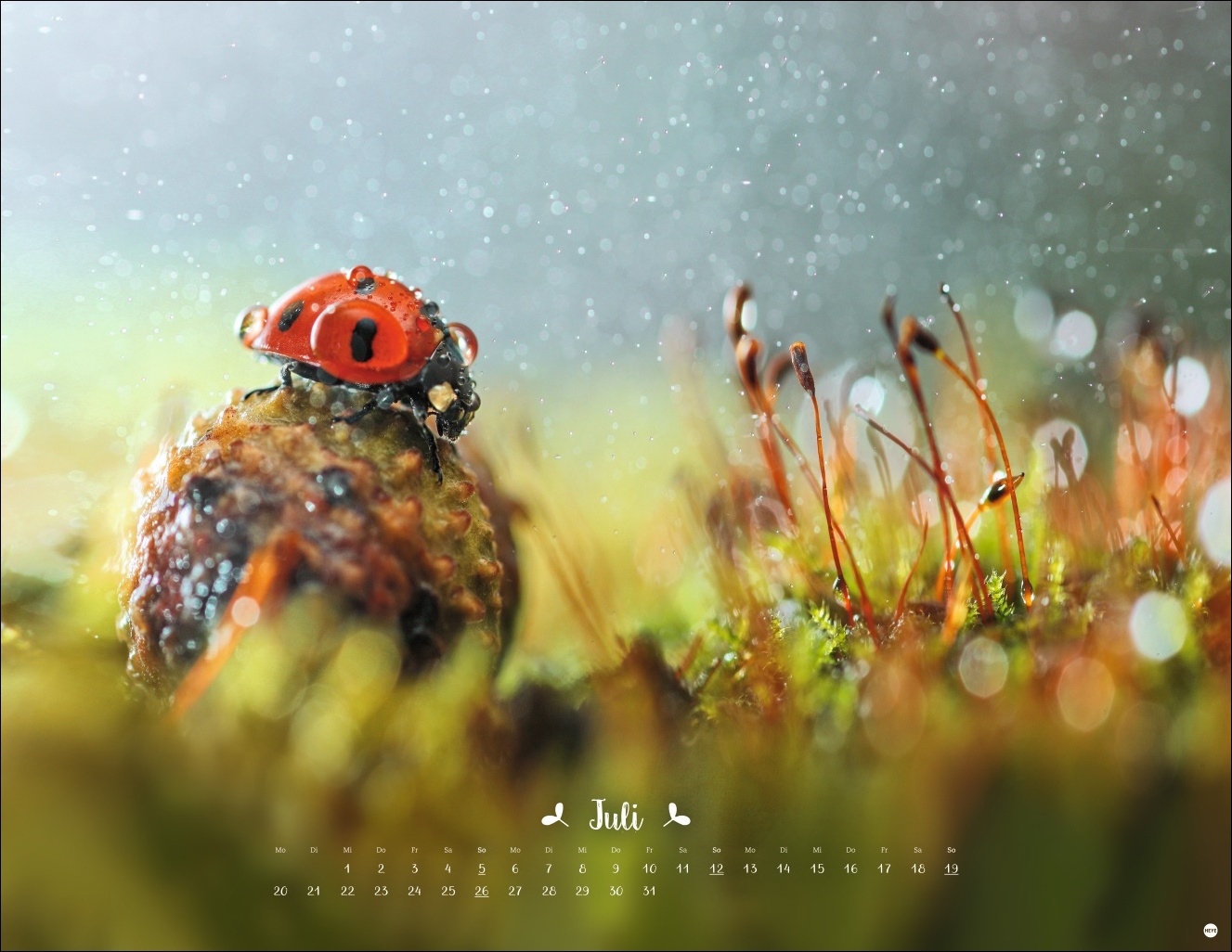 9783756411672_innenansicht_07 9783756411672_innenansicht_07.jpg