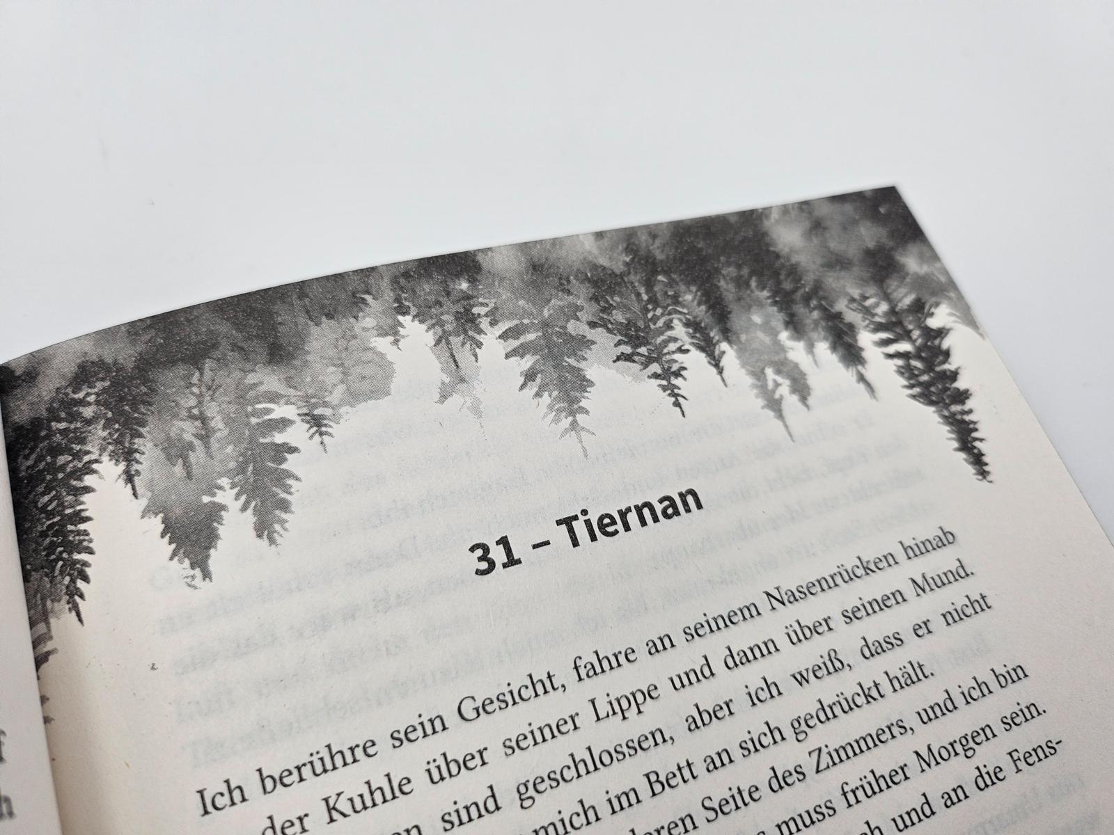 9783492065245_innenansicht_10.jpg