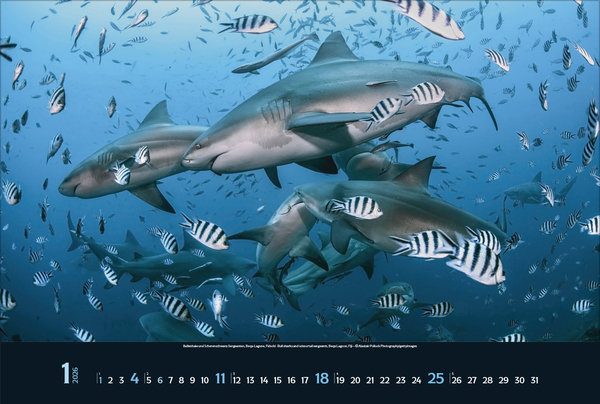 9783731888161_innenansicht_01 9783731888161_innenansicht_01.jpg