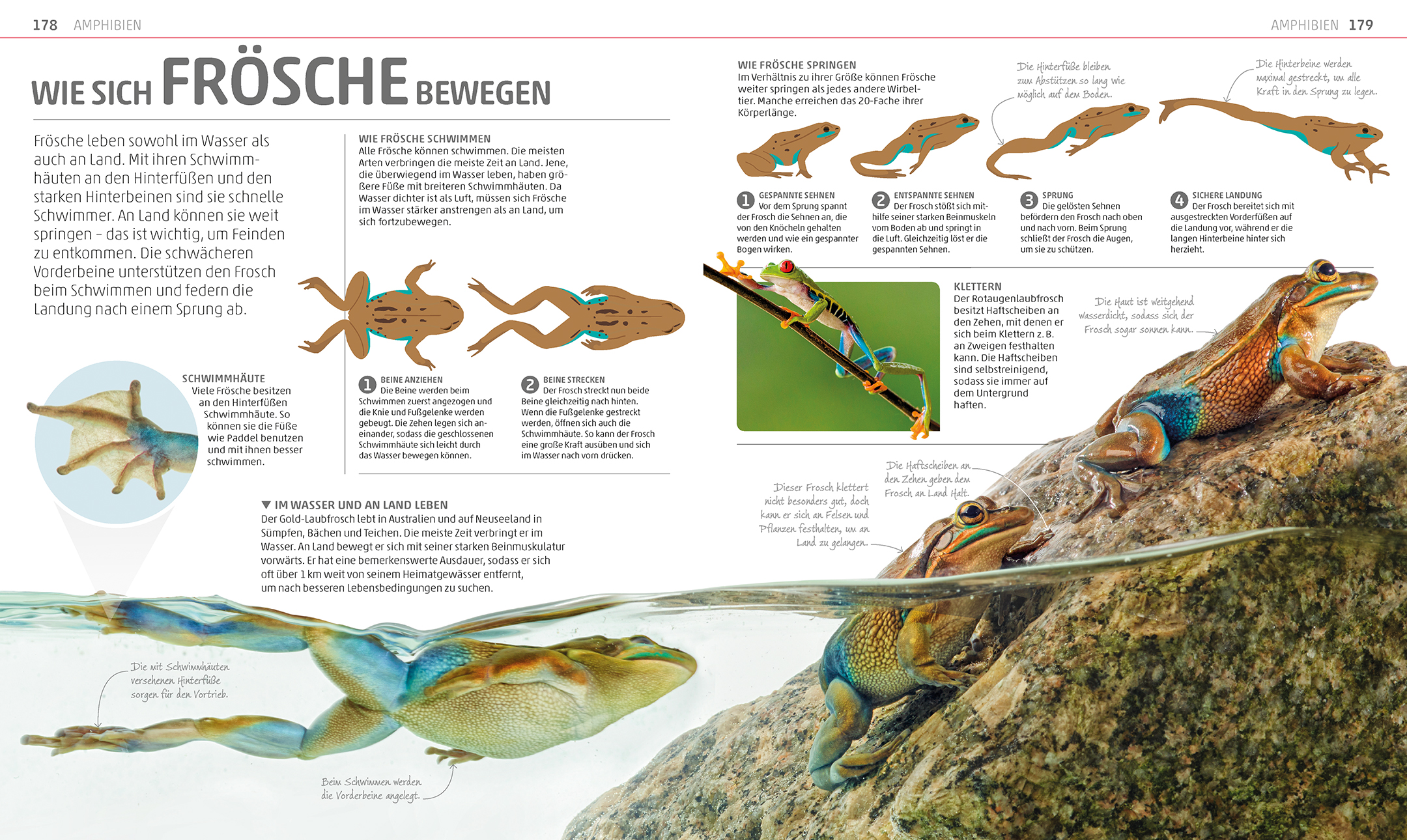 9783831035557_innenansicht_05 9783831035557_innenansicht_05.jpg