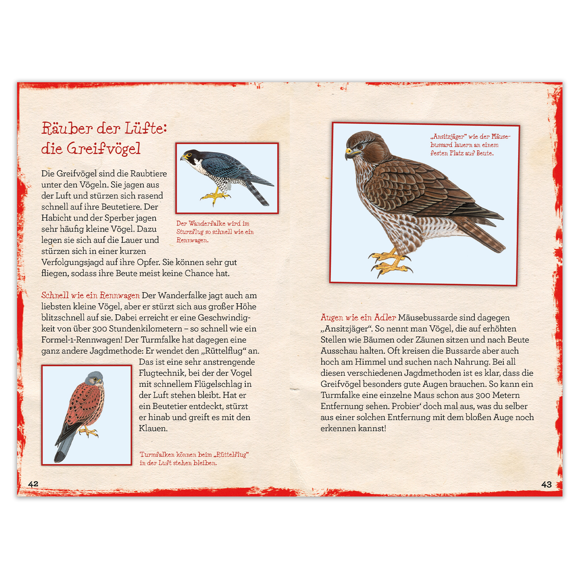 9783963474316_innenansicht_02 9783963474316_innenansicht_02.jpg