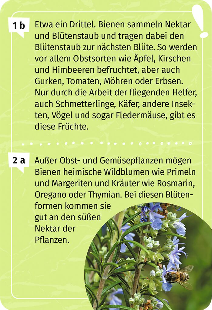 9783964553393_innenansicht_02.jpg
