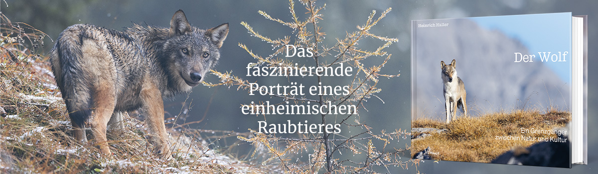 9783258084329_buehnenbild.jpg