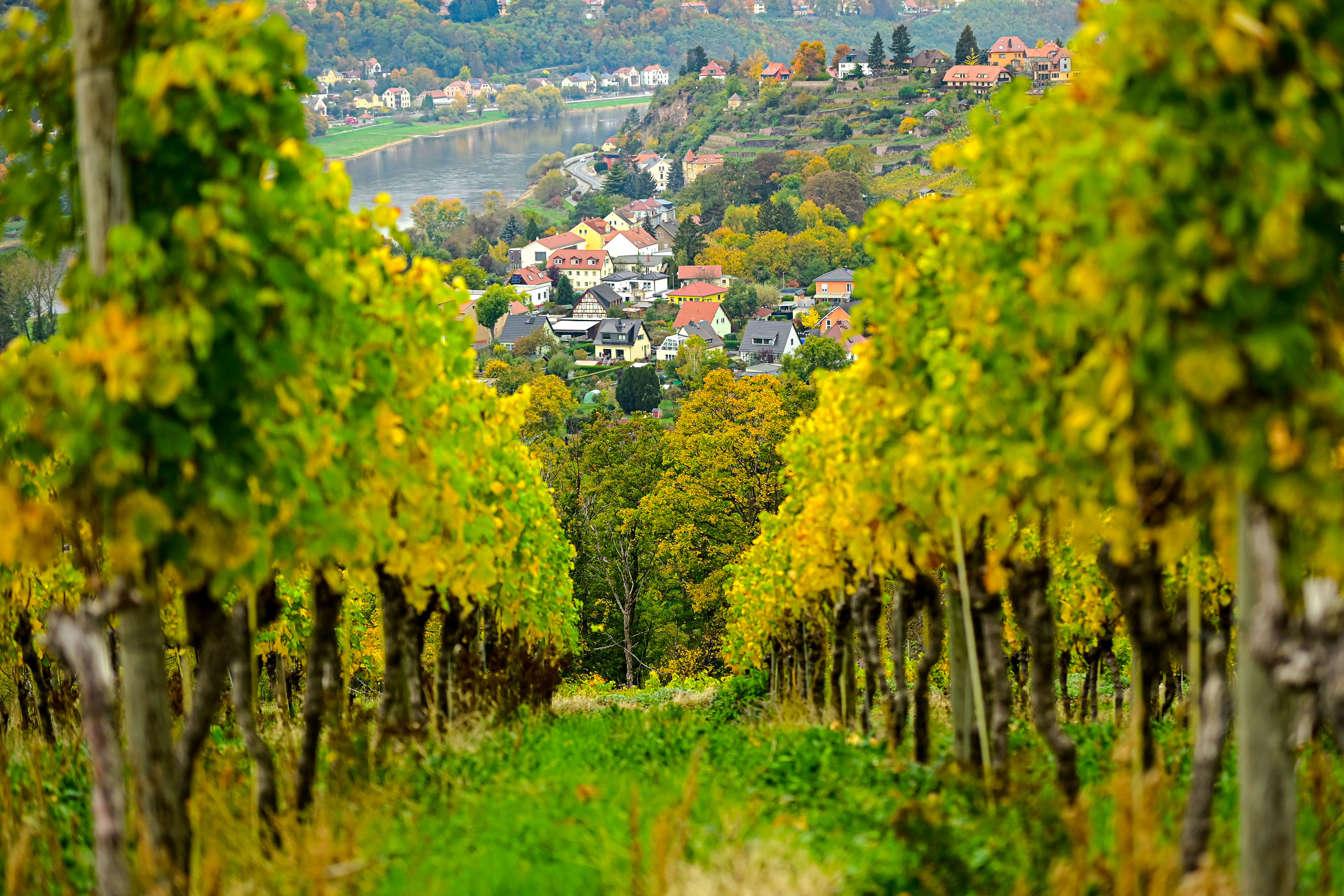 9783959619899_innenansicht_10 9783959619899_innenansicht_10.jpg