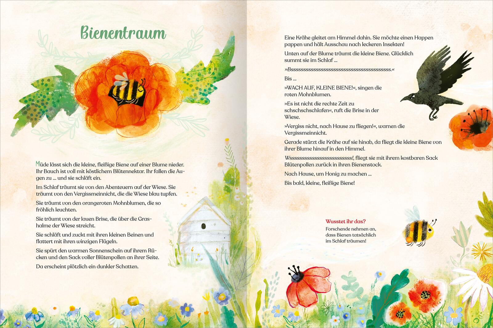 9783845861135_innenansicht_02.jpg