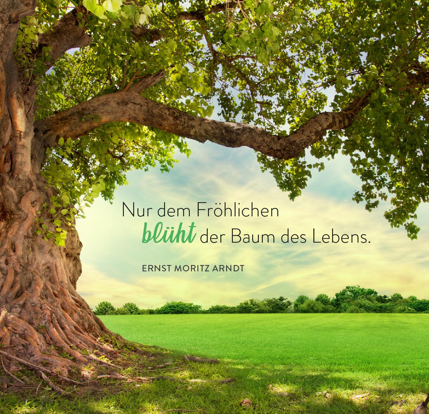 9783845866413_innenansicht_05.jpg