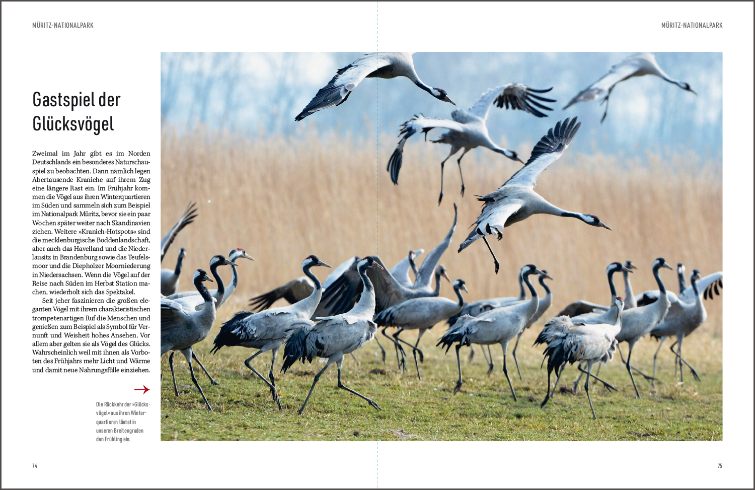 9783969651001_innenansicht_06 9783969651001_innenansicht_06.jpg