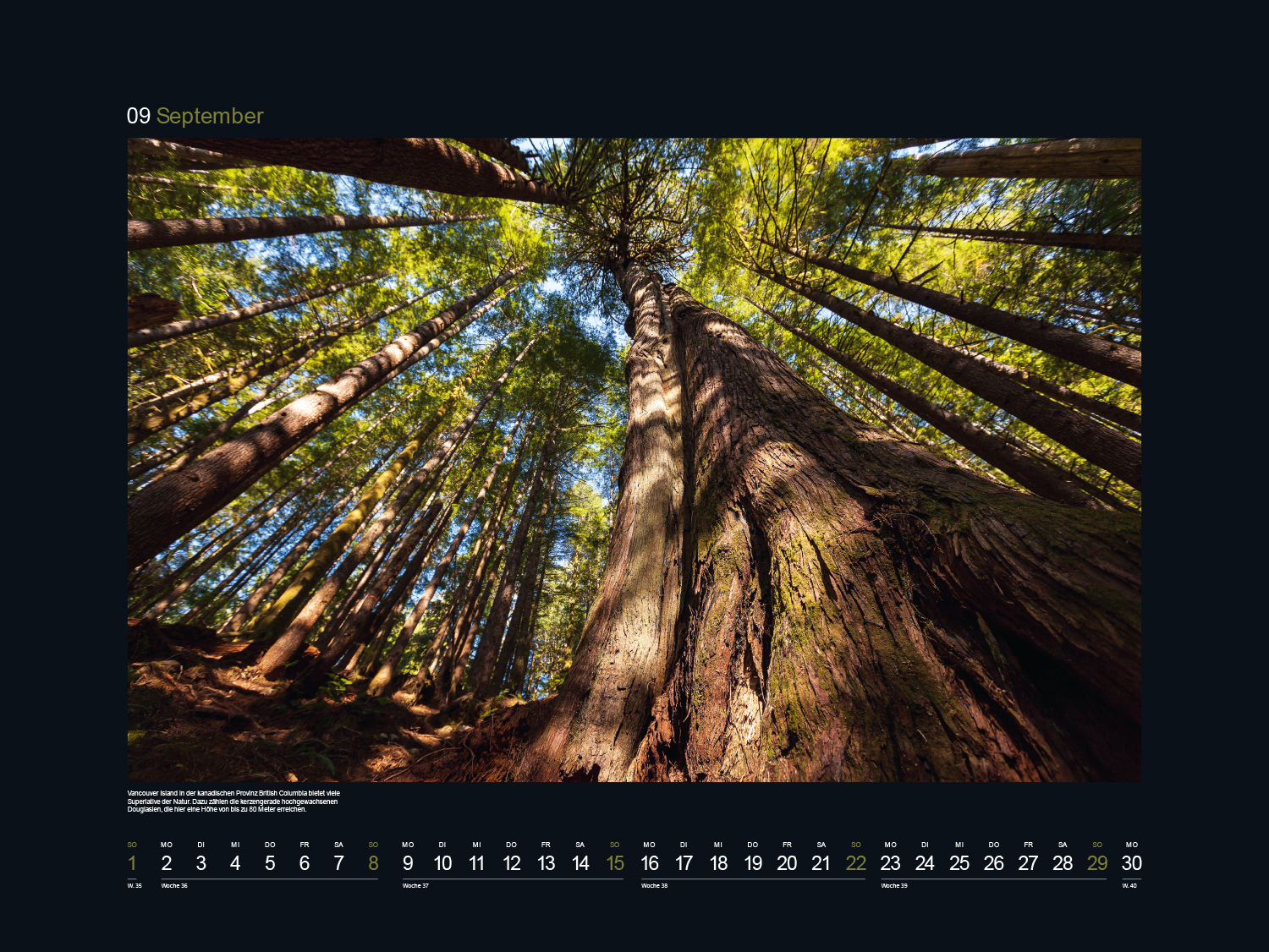 9783965912496_innenansicht_10 9783965912496_innenansicht_10.jpg